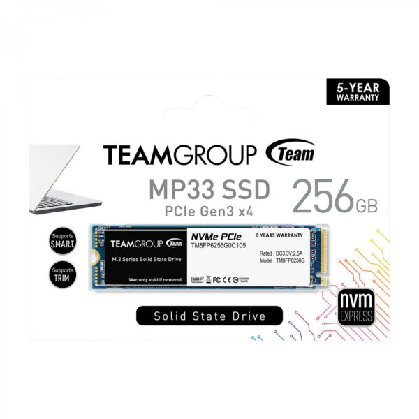 اس اس دی TeamGroup MP33 256GB