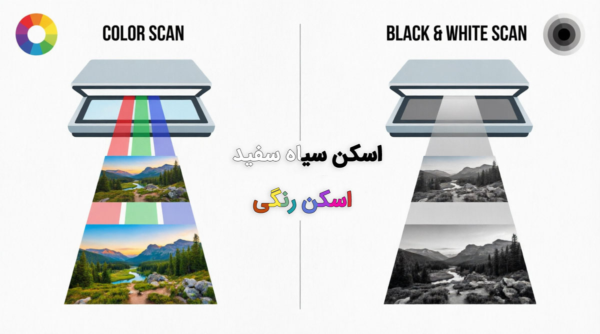 اسکن رنگی چیست و چه تفاوتی با اسکن سیاهوسفید دارد؟